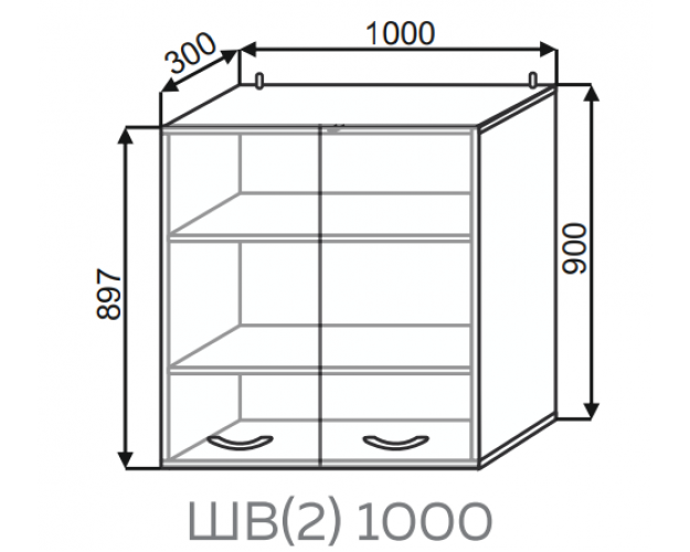 Шкаф ШВ2 1000